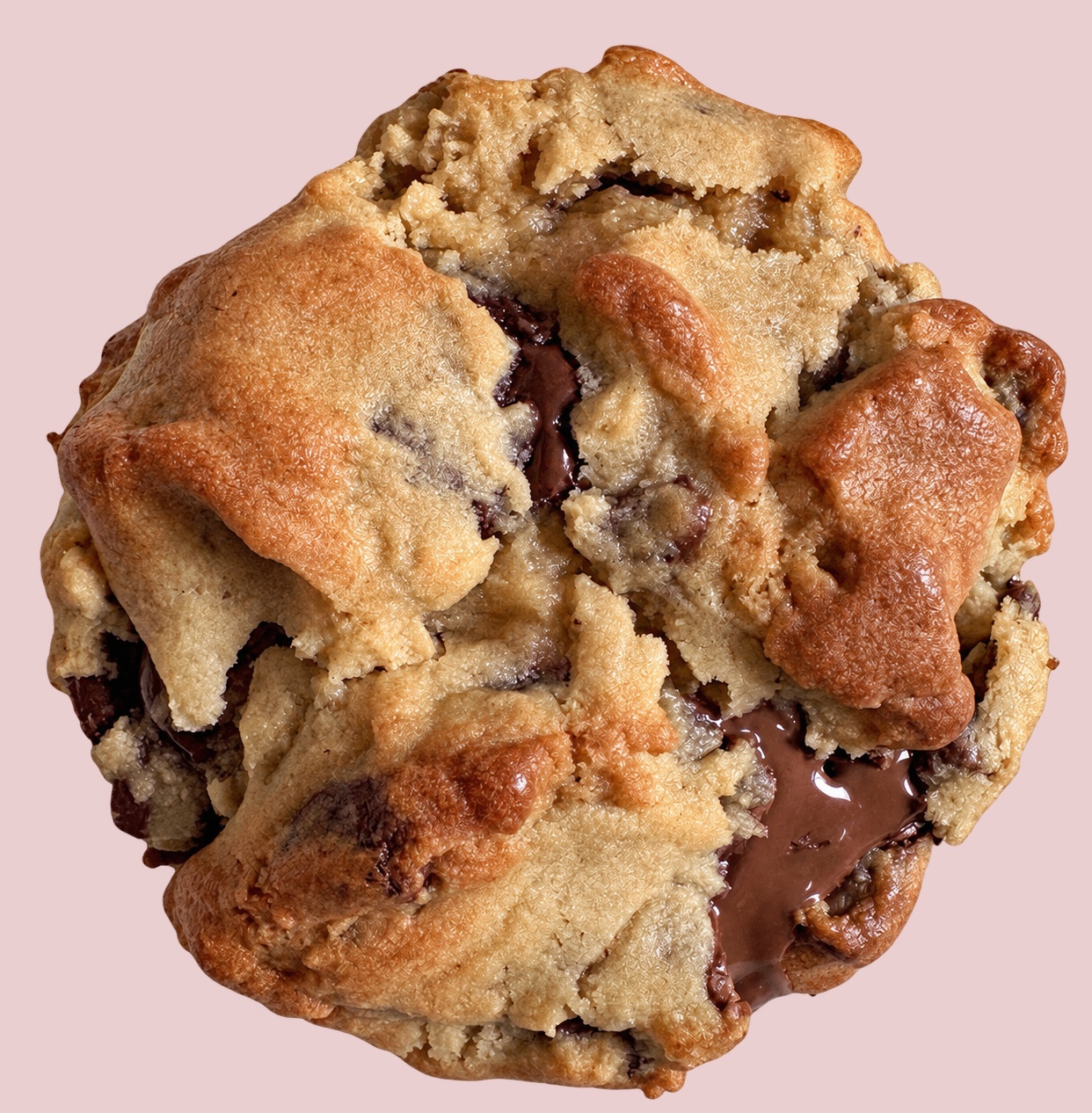 The Classic chocolate chip cookie