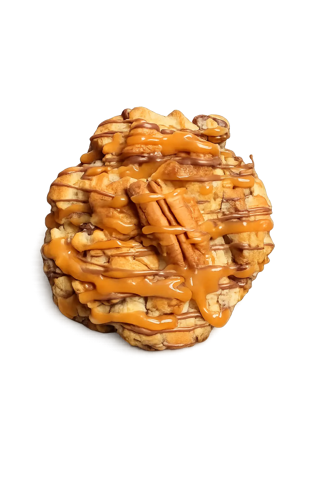 Turtle cookie